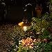 EKQ ROJOY 1Pack Upgrade Hanging Solar Lights Lantern with 1 Shepherd Hook,Metal Solar Waterproof Lantern for Pathway Garden Outdoor (1Pack) (Coppe)