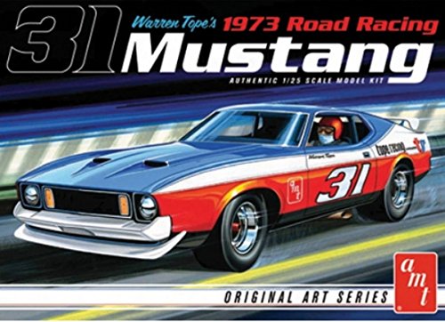 1/25 Warren Tope 1973 Mustang original Art Series