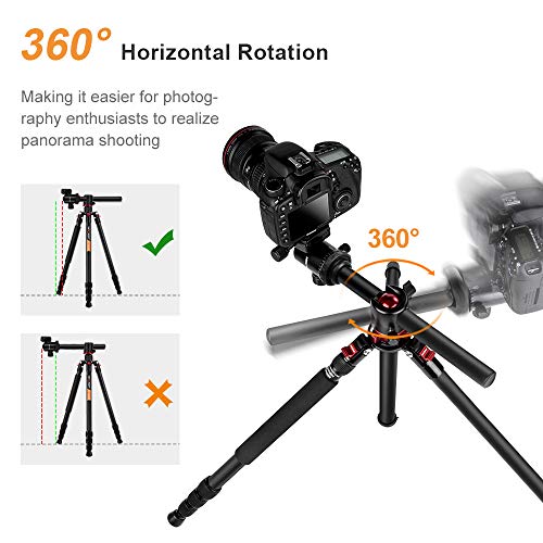 Trépied aluminium léger TPOD2100BZ pour caméras et photos