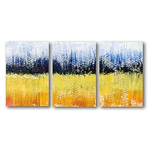 3 Panel Abstract Oil Painting Pictures Home Wall...