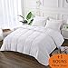 Decroom White Comforter,Down Alternative Quilted Duvet Insert,Moisture-Wicking Treament,Light Weight and Soft for All Season Twin Size