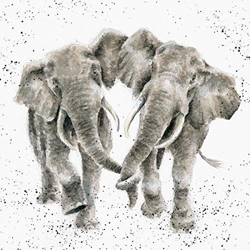 Wrendale Designs - 'Age Is Irrelephant' Card