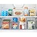 InterDesign Refrigerator and Freezer Storage Organizer Bin for Kitchen, 6