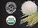 Nosh Baby Munchable Teethers Organic Rice Teething Wafers, 26 Piece, Variety Pack (Pack of 5)