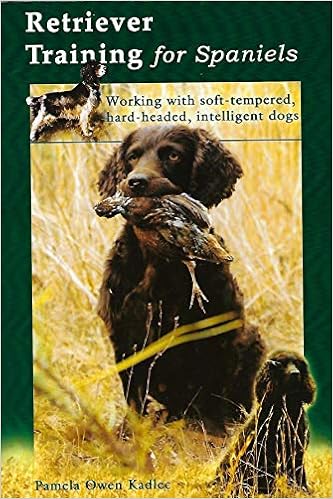 training the working spaniel