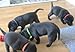 WhelpIDCollars - Puppy ID Bands - 12 Colors | Made from Velcro Brand ONE-WRAP | Standard Size 13.4 in