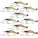 Goture Soft Lures Shrimp Bait Set, Freshwater/Saltwater, Trout Bass Salmon, 9 Piece