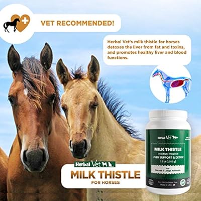 automatic water feeders