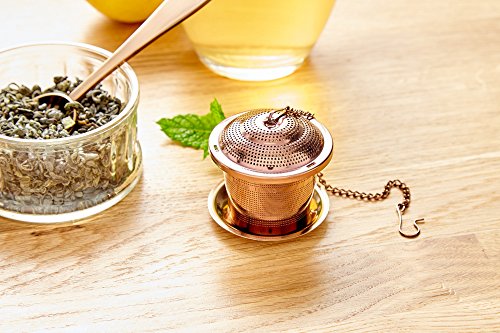 Apace Large Tea Infuser (Set of 2) with Tea Scoop and Drip Trays – Multi Cup Size Stainless Steel Loose Leaf Tea Strainer and Steeper