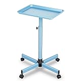 Salon Tray, Blue Salon Tray Cart, Salon Color Tray