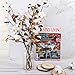 Ageomet 4pcs Cotton Stems 21