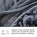 Royhom Duvet Cover for Weighted Blankets 48 x 72 Inches - Removable Weighted Blanket Cover - Soft Minky Dot, Gray