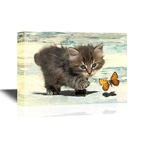Cats Little Kitten Chasing a Butterfly