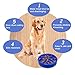Pop Fidget Toys Pack Mini pop Autism Special Needs Stress Relief Silicone Pressure Relieving Toys Fidget Sensory Stress Ball Anxiety Relief Toys for Kids Adults Pop Pack Toys