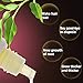 Hair Growth Essence Hair Loss Treatments Hair Loss Stop Fast Hair Growth Products RegrowGinger Genseng Raise Dense Hair 20ml