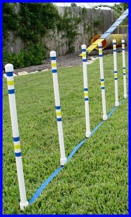 Dog Agility Stick in The Ground Outdoor Set of 6