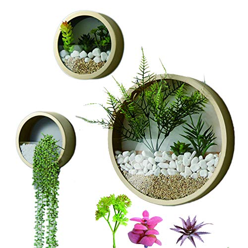 3 Pack Set Wall Planters Modern Wall Vase Succulent Planter Circle Flower Pot Metal Iron Indoor Vertical Container Wall Hanging Home Decoration Size S,M,L Gold, Include 3 Artificial Succulent Plants