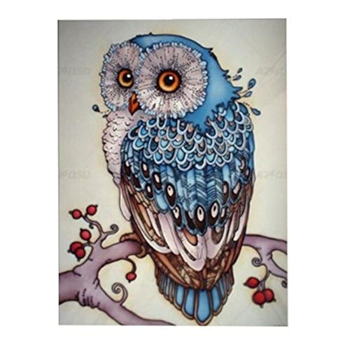 5d diamond painting kits: amazon.ca 5D Diamond Painting Kits: Amazon.ca