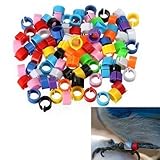 100pcs Bird Rings Leg Bands for Pigeon Parrot Finch Canary Hatch Poultry Rings