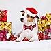 Malier Dog Bandana and Collar Set Pet Christmas Classic Plaid Snowflake Dog Scarf Triangle Bibs Kerchief Adjustable Collars with Bow Tie Pet Costume for Cats Dogs Pets (Small)