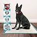 Simple Solution Extra Large Dog Training and Puppy Pads, Extra Large - 50-Count