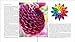 The Plant Lover's Guide to Dahlias (The Plant Lover’s Guides)