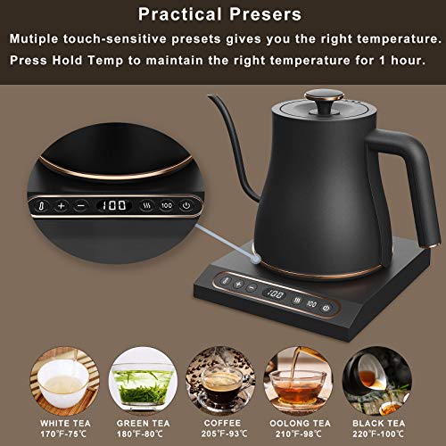 Dealz Frenzy Electric Kettle with Temperature Control,Pour Over Kettle