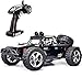 TOZO C5032 1:12 Large Scale RC CAR Desert Buggy Warhammer High Speed 30MPH+ 4x4 Fast Race Cars RTR 4WD Electric 2.4GHz Radio Remote Control Off Road Truck Powersport Black