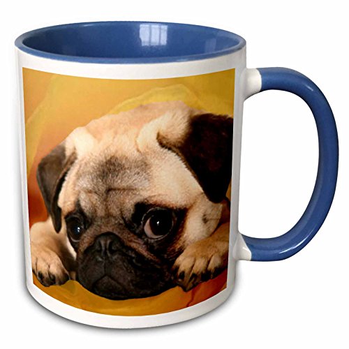 Dogs-Pug-Pug-Mugs