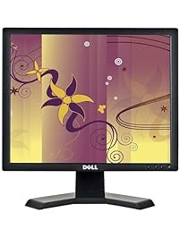 Dell E170S 17-inch flat panel monitor (Certified Refurbished)