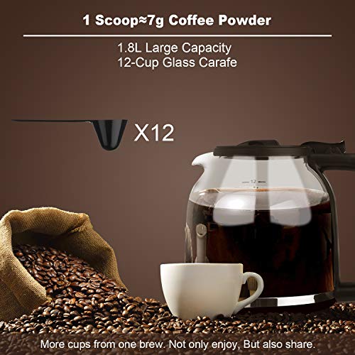 Gevi Coffee Maker 12 Cup, Programmable Drip Coffee Machine with Coffee