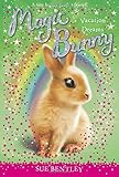 Chocolate Wishes 1 Magic Bunny Sue Bentley Angela