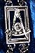 Masonic Silver Past Master Chain Collar + Free Case (as a Gift)