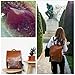 ZEBELLA Womens Leather Backpack Vintage Brown Travel Daypack College Bookbag