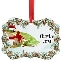 American Green Tree Frog Christmas Ornament 2024