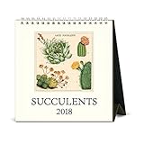 Cavallini Papers & Co Succulents 2018 Desk Calendar