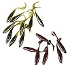ToHa-Soft-Lure-Kits-for-Fishing-143-in-1-including-6-Kinds-of-73-Soft-Plastic-Fishing-Lures