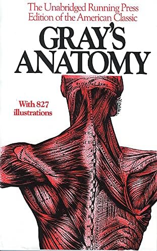 Gray's Anatomy: The Anatomical Basis of Clinical Practice