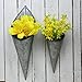 Hanging Metal Cone Wall Vases - Rustic Farmhouse Style, Nesting Set of 2