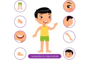 Les parties du corps humain - pour les enfants