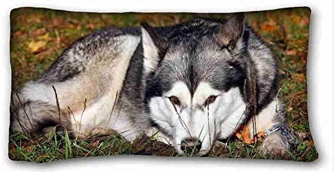 Custom Cotton &amp; Polyester Soft ( Animals dog huskys grass lie down waiting sadness ) Pillowcase Cover 20"X36" One Side suitable for Twin-bed PC-White-16807