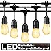 Outdoor String Lights Led 48 Ft,Waterproof Commercial Grade Heavy Duty Connectable Edison String Light with 15 Vintage Bulbs and 1 Spare Bulb UL listed,String Lighting for Patio Garden Wedding Party