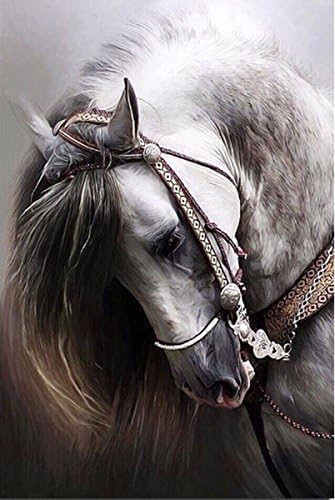 ESOOR 5D DIY Diamond Painting Flowers, Cross Stitch DIY Diamond Painting Kits Arts Horse 10X12 Inches