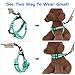 Pawaboo Dog Leash Harness Set, Durable Adjustable Heavy Duty No Pulling Dog Harness + Leash for Pet Dog Training Walking Running, Small Size, Lake Blue