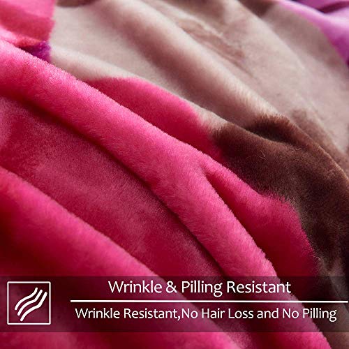 JYK Heavy Korean Faux Mink Fleece Blanket, 5 LB 2 Ply Reversible