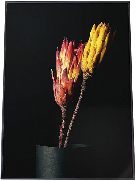 Amazon Co Jp Fashion Poster ファッションポスター B0 約100cm 145cm ポスター 微光沢 ポスターのみ アート シンプル お洒落 おしゃれ 黄 花 フラワー 押し花 ドライフラワー 植物 モダン リビング 玄関 Fg Poster 738 B0b0biko ホーム キッチン