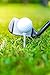 AckBrands MeasureTees Golf Tees - 2 3/4 3 1/4 Inch - Wood (100 Pack) Plastic (30 Nearly Unbreakable) P3