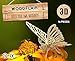 WoodFlair 3D Wooden Puzzle, Set of 3, Insect