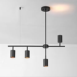 Globe Electric 64000048 4-Light Adjustable Height