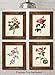 Paris Botanicals - Set of Four Photos (8x10) Unframed - Makes a Great Gift Under $20 for Bedroom/Bathroom Decor